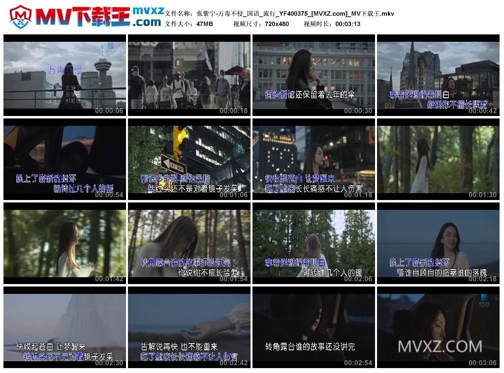 张紫宁-万毒不侵_国语_流行_YF400375